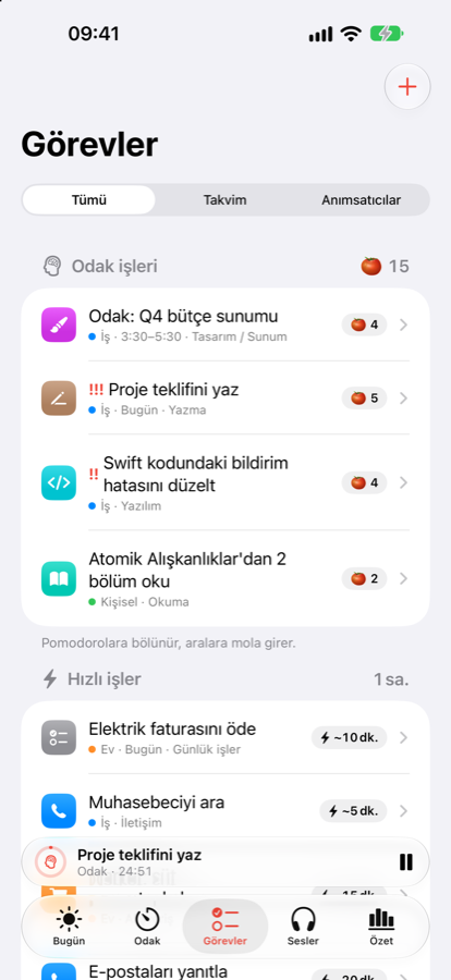 Anlamlandırılmış görevler