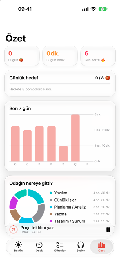 Haftalık özet